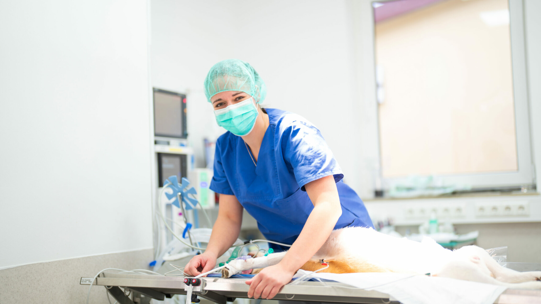 Moderne OP-R&auml;ume in der Tierklinik Dinkelsb&uuml;hl