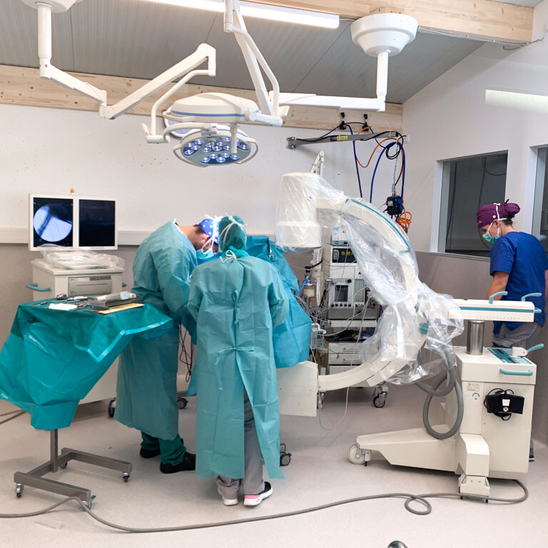 Sorgfältige chirurgische Eingriffe in der Tierklinik Dinkelsbühl
