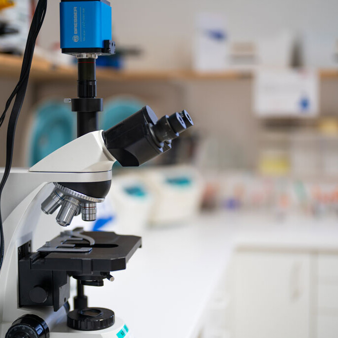 Präzise Diagnostik im hauseigenen Labor der Tierklinik Dinkelsbühl