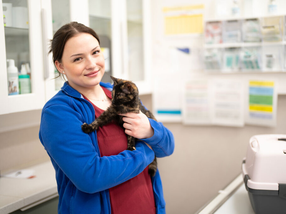 Empathische Mitarbeiterin der Tierklinik Dinkelsbühl mit Katze auf dem Arm