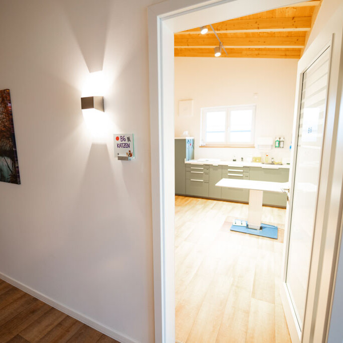 Spezielle Behandlungsräume für Katzen in der Tierklinik Dinkelsbühl