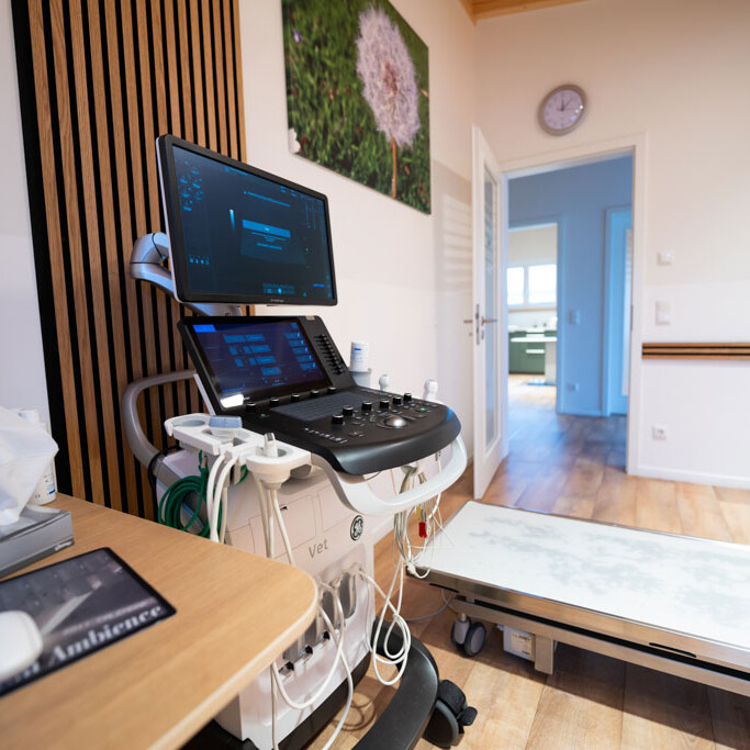 Moderne Diagnostik in der Tierklinik Dinkelsbühl