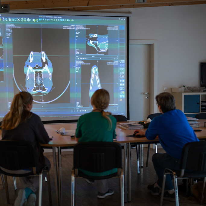 Ausführliche Fallbesprechung im Team der Tierklinik Dinkelsbühl